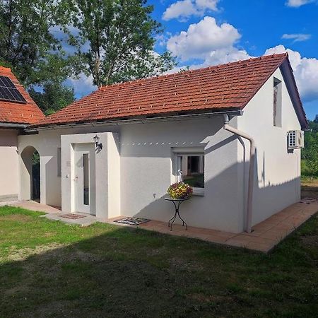 Villa Haus Yuphin à Hart bei Graz Extérieur photo
